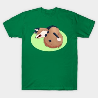 Sleepy Fox T-Shirt